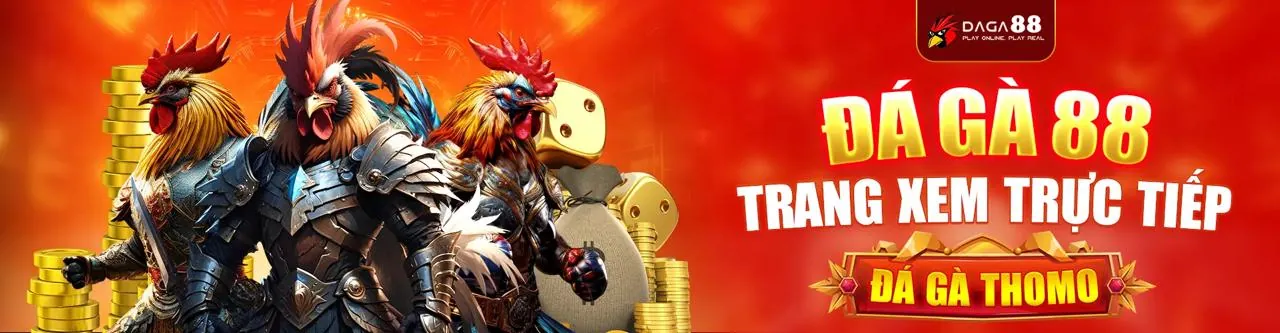 Đá Gà Trực Tuyến xo68 nhà cái
